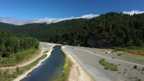 Shallow river flowing through lush forest Stock Footage 152745311