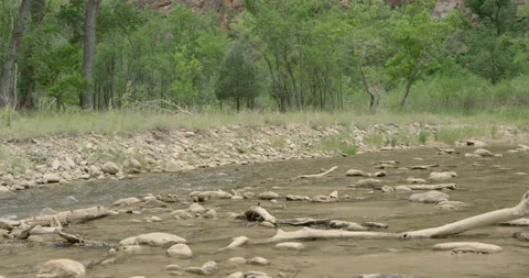 A shallow river flowing through a rocky river bed Stock Footage 146120760