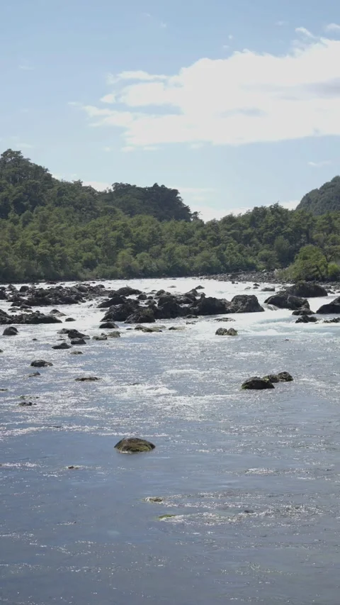 Shallow River Flowing Through Rocky Landscape Stock Footage 308579882