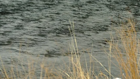 Shallow river flowing through Yellowstone National Park during winter Stock Footage 93372128