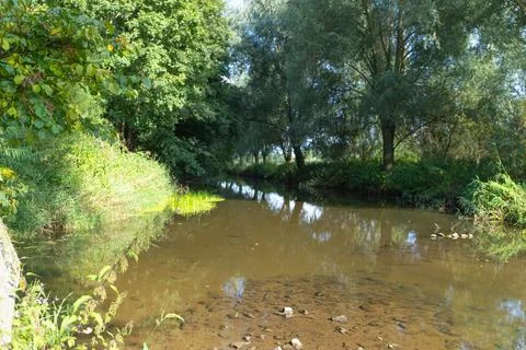 Shallow river flows through a green forest Stock Photos