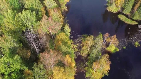 A shallow river flows through the middle of a Finnish autumn landscape. Stock Footage 317694275
