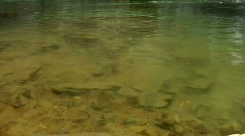 Shallow River 库存影片 236820