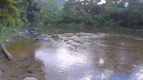 Shallow River Stock Footage 127471682