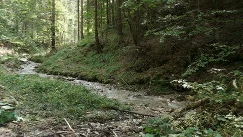 Shallow river in the mountains Stock Footage 117032373