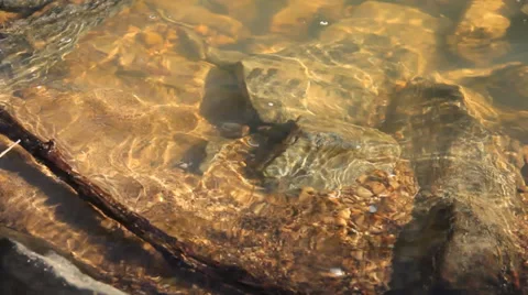 Shallow River Pool 스톡 동영상 34294978