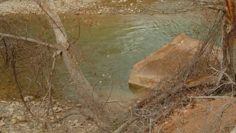 A shallow river pool Vidéo 265494832