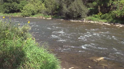 Shallow River Rapids in early Autumn Stock Footage 54789301