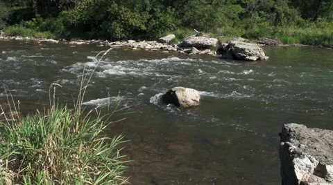 Shallow River Rapids Stock Footage 54789302