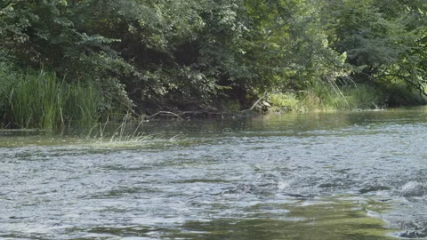 Shallow river rapids in the forest 4K slow-mo video Stock Footage 210270282