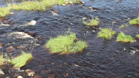 Shallow river rapids in Iijoki, Ii Finland Stock Footage 282771123