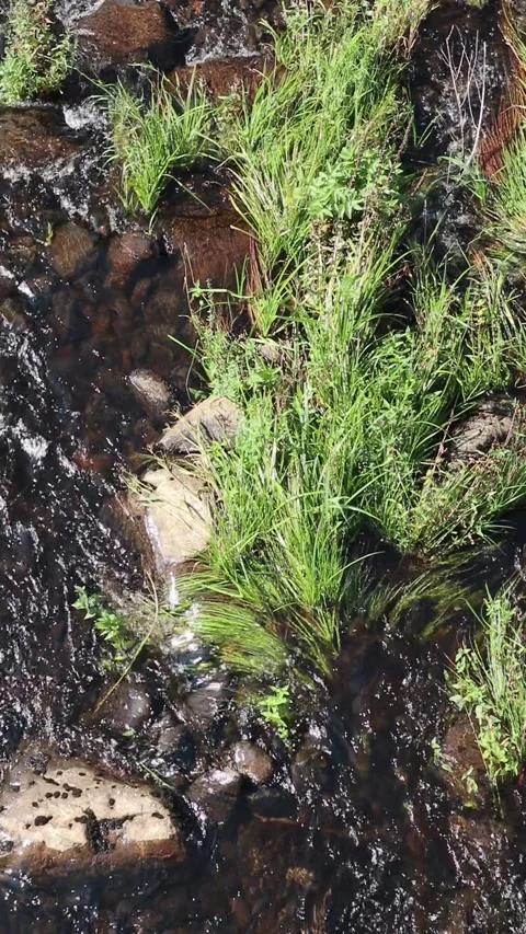 Shallow river rapids in Iijoki, Ii Finland Stock Footage 282771124