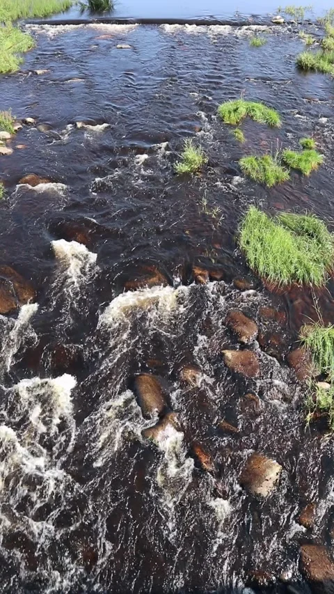 Shallow river rapids in Iijoki, Ii Finland Stock Footage 282771128