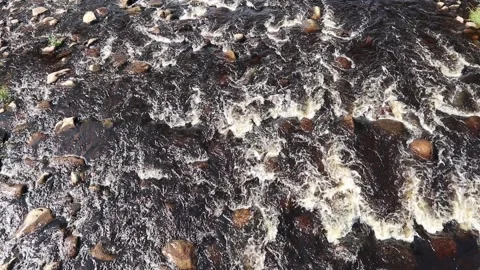 Shallow river rapids in Iijoki, Ii Finland Stock-Footage 282771157