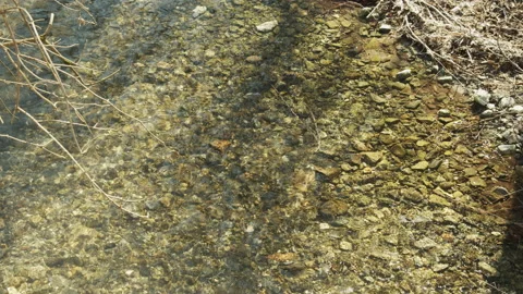 Shallow river rapids with pebbles on bottom 4K slow-mo video Stock Footage 150458715
