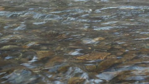 Shallow river rapids with rocky bottom 4K video Stock Footage 151288477
