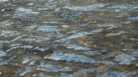 Shallow river rapids in the woods 4K slow-mo video Stock Footage 150599750