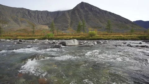 A shallow river with a rocky bottom flows among high mountains. The water boils Stock Footage 167049695