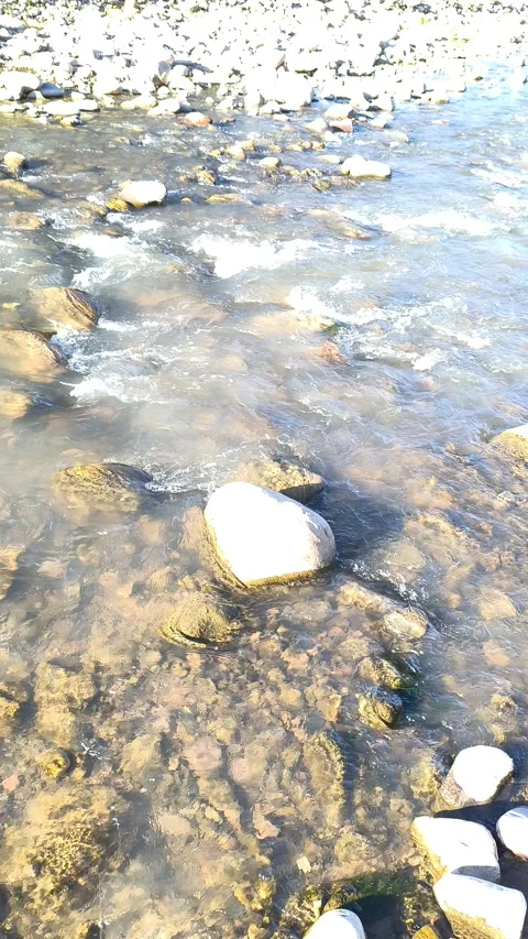 Shallow river of serene current flowing over the rocks Stock Footage 333600311