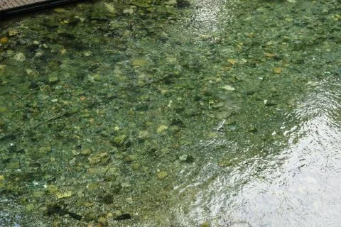 Shallow river with small rocks Stock Photos