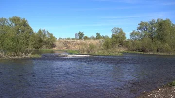 Shallow river at spring sunny day, 4K ultra hd 2160p video footage Stock Footage 86010791