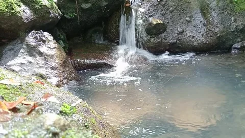 Shallow River Stream with Clear Water and Stones | Natural Outdoor Scene Stock Footage 330546084