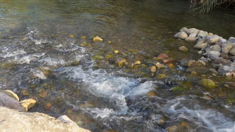 Shallow river stream with pebbles and rapids Stock Footage 265105449
