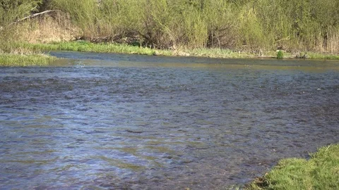 Shallow river stream at spring sunny day, 4K ultra hd 2160p video clip Stock Footage 86010826