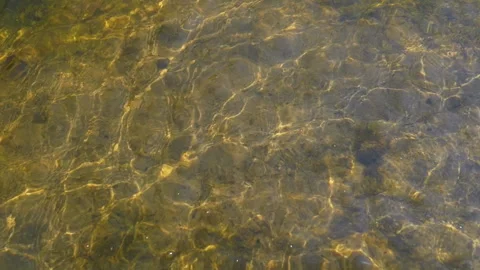 Shallow River, Sunlight Reflections Stock Footage 293259411