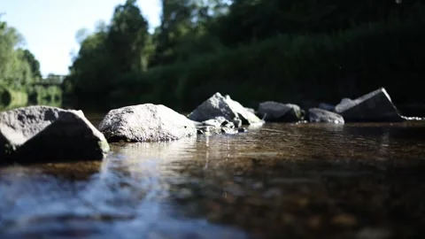 Shallow river with sunlit rocks peaceful stream flows gently around smooth stone Stock Footage 312334869