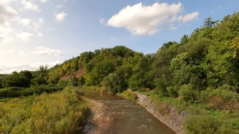 Shallow river through forest in summer under sky and clouds. Stock Footage 167805700