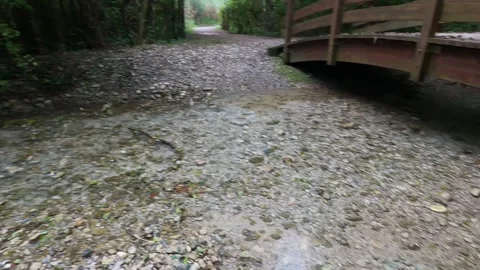 Shallow river under a little bridge, 4k Video stock 286727737