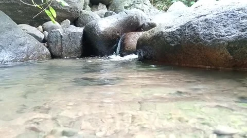 Shallow River Water Flow Over Stones Natural Calm Scene Stock Footage 330581638