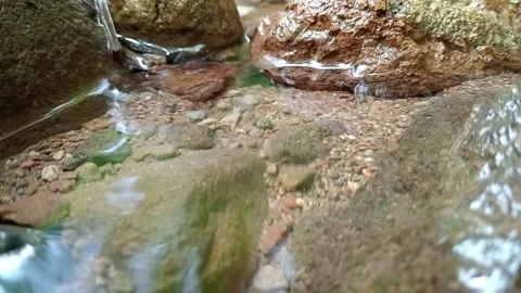 Shallow River Water Flowing Over Stones – Natural Relaxing Video Stock Footage 329767997