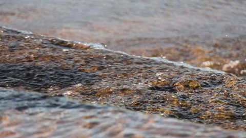 Shallow river water flows over rock weir in golden hour sunshine Vidéo 335431021