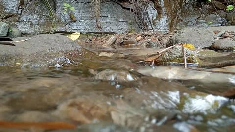 Shallow River Water Moving Across Rocky Surface Stock Footage 330335761