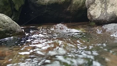 Shallow River Water Moving Gently Over Stones in Nature Stock Footage 329800367