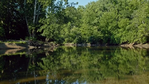 Shallow Riverbed in Nature Stock Footage 244365917