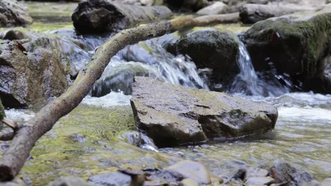 A shallow riverbed with a rocky bottom and shoals and fragments of stones Stock Footage 255209336