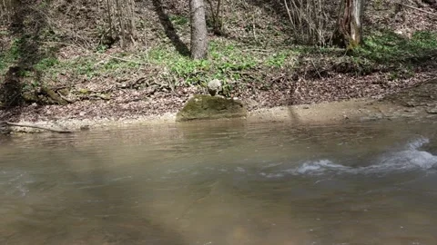 A shallow riverbed with a rocky bottom and shoals and fragments of stones Stock Footage 271220203