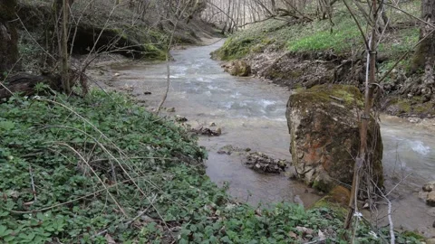 A shallow riverbed with a rocky bottom and shoals and fragments of stones Stock Footage 271462350