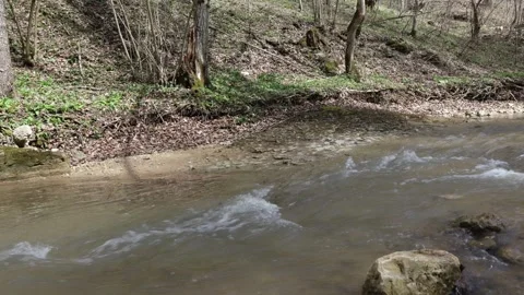 A shallow riverbed with a rocky bottom and shoals and fragments of stones Stock Footage 271611656