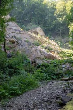 Shallow riverbed with a rocky bottom on a cloudy day, under the canopy of the Stock Photos