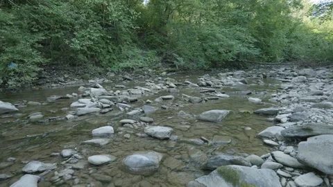Shallow Rocky Forest Stream Flowing Through Green Woodland – 4K Video stock 324796702