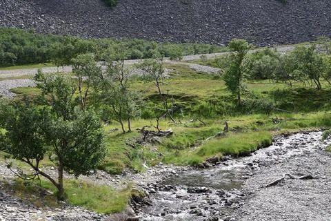 A shallow, rocky mountain stream flows through a rugged valley in Norway, wit Stock Photos