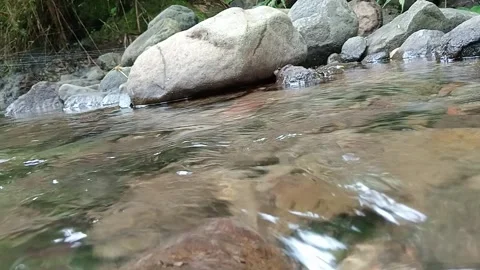 Shallow Rocky Stream with Clear Water Flow in Tropical Forest Stock Footage 330582313