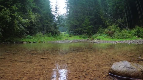 Shallow Runoff Pool in Carpathian Mountain Wilderness Stock Footage 127858721