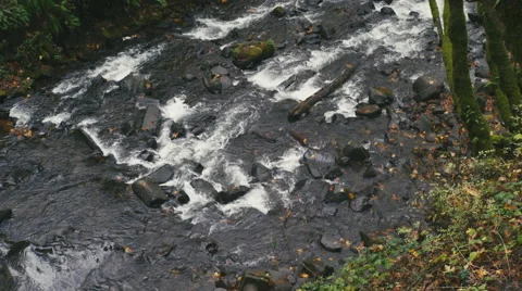 Shallow Rushing River Stock Footage 56839427