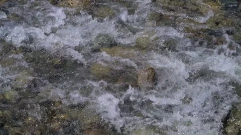 Shallow rushing stream Stock Footage 73215717