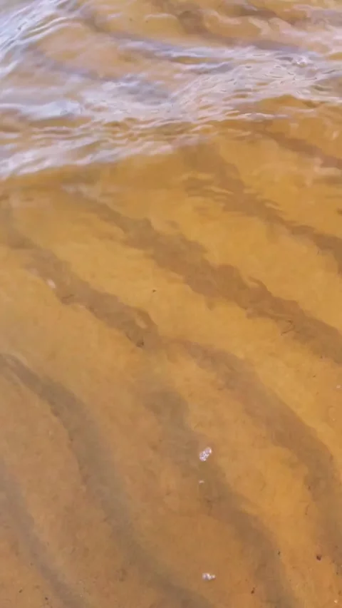 Shallow sandbank with wave pattern, clean clear water. Vertical video. Stock Footage 280068001